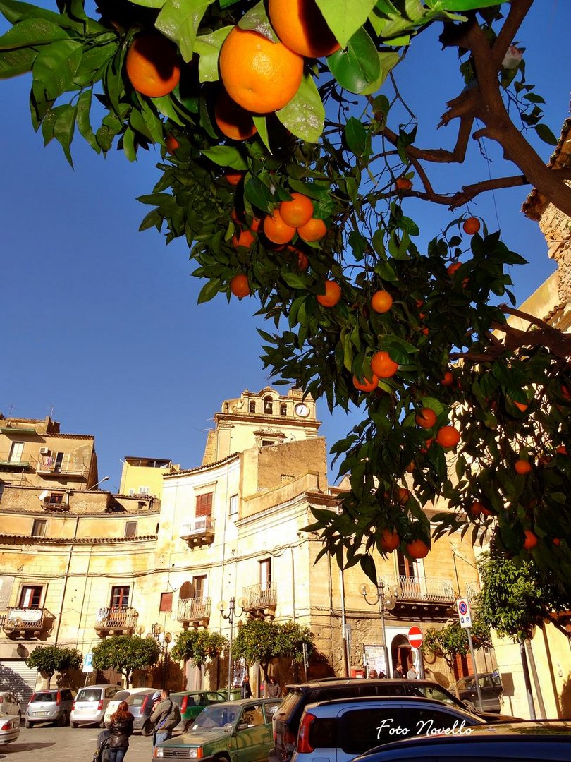 Piazza Margherita.