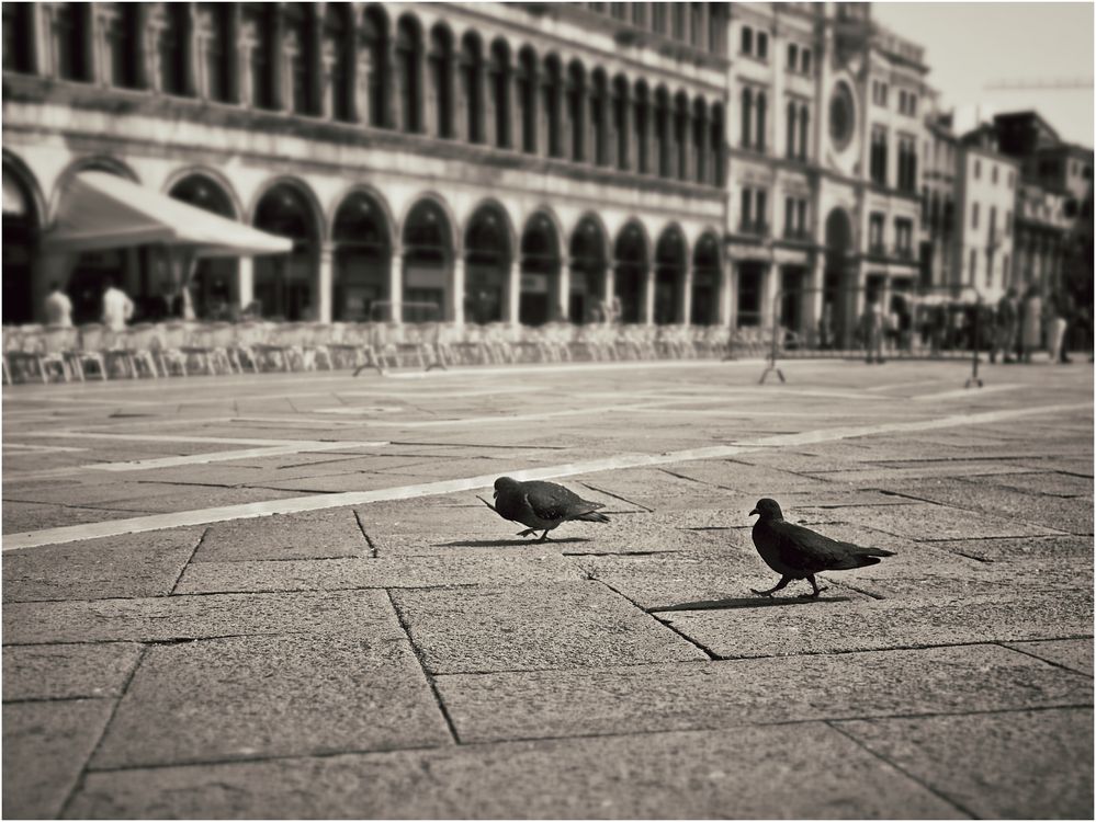 Piazza San Marco