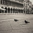 Piazza San Marco