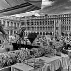 Piazza San Marco