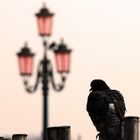 Piazza San Marco