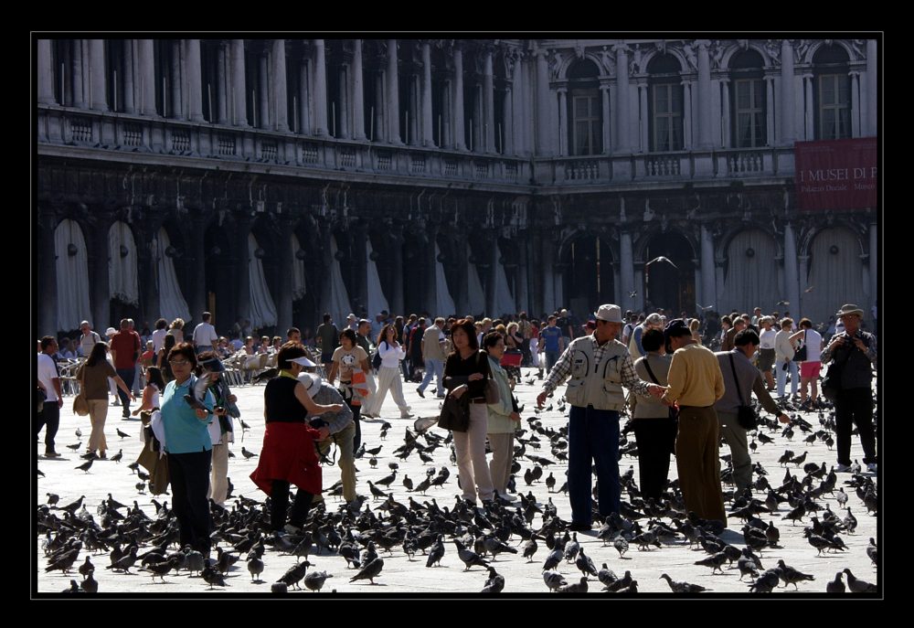 Piazza San Marco