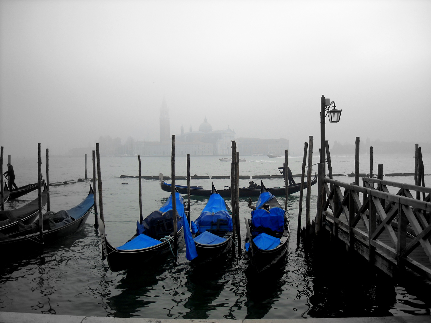 Piazza San Marco, Novembre 2011