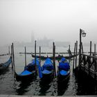 Piazza San Marco, Novembre 2011