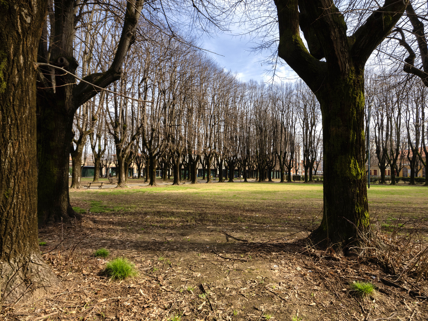 Piazzale alberato, Vercelli