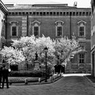 Piazzetta Brera, Milano