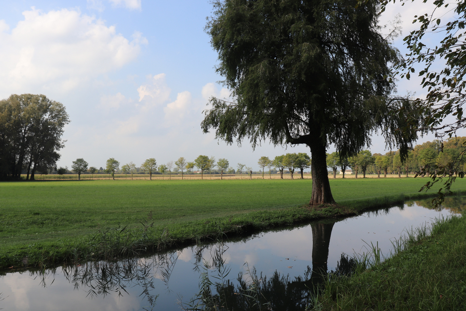 piazzola sul brenta