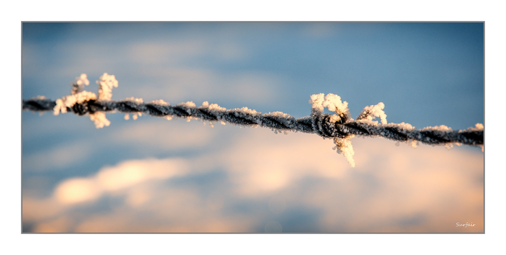 Pic à glace