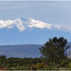 Pic du Canigou