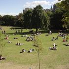 Pic-nic at Edinburgh