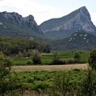 Pic Saint-loup proche de Montpellier