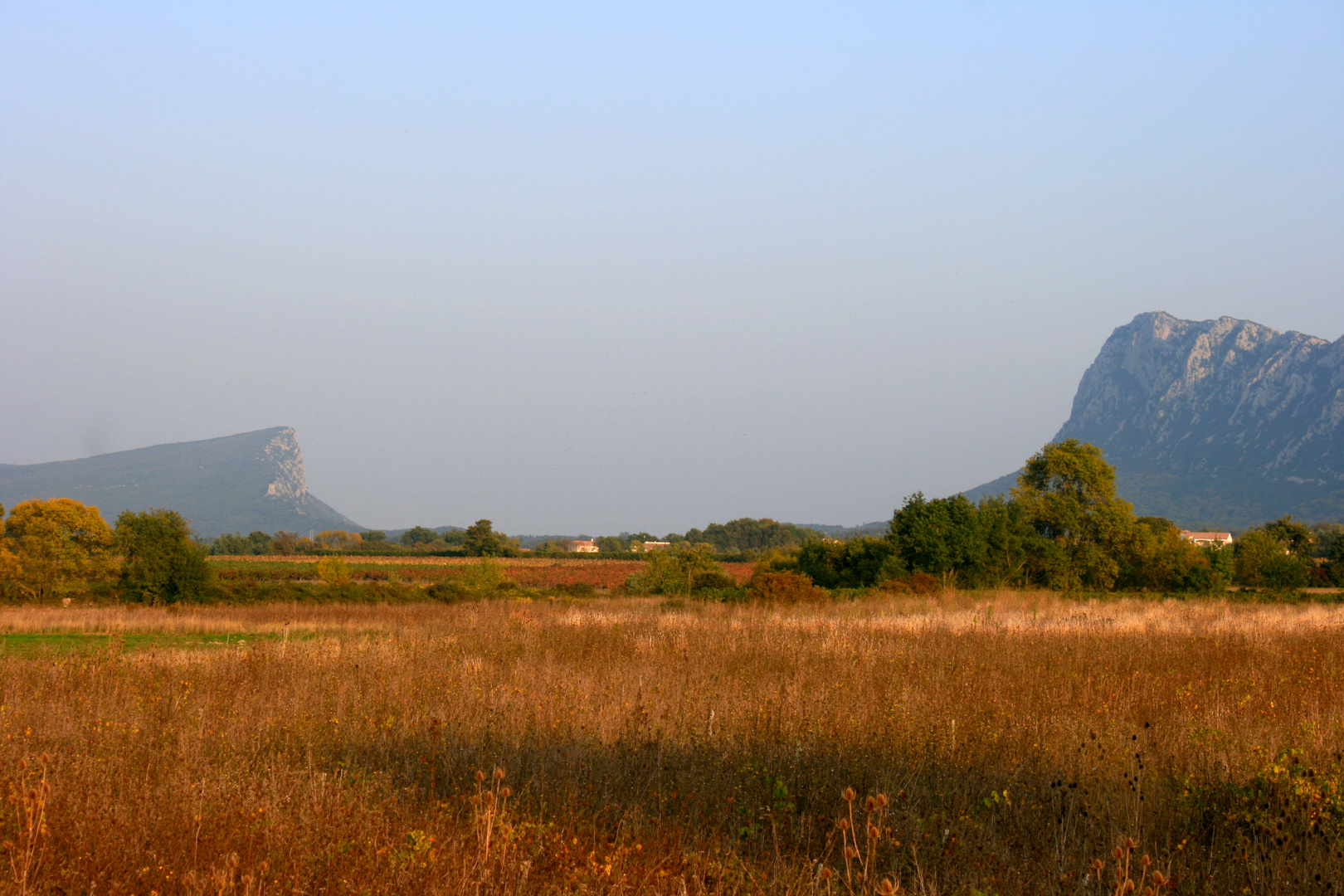 Pic St. Loup und Hortus