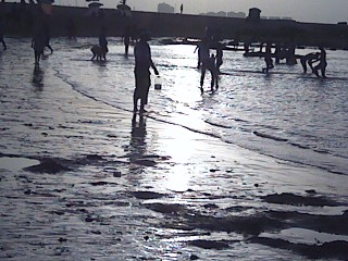 Pic_0716_022  une plage 