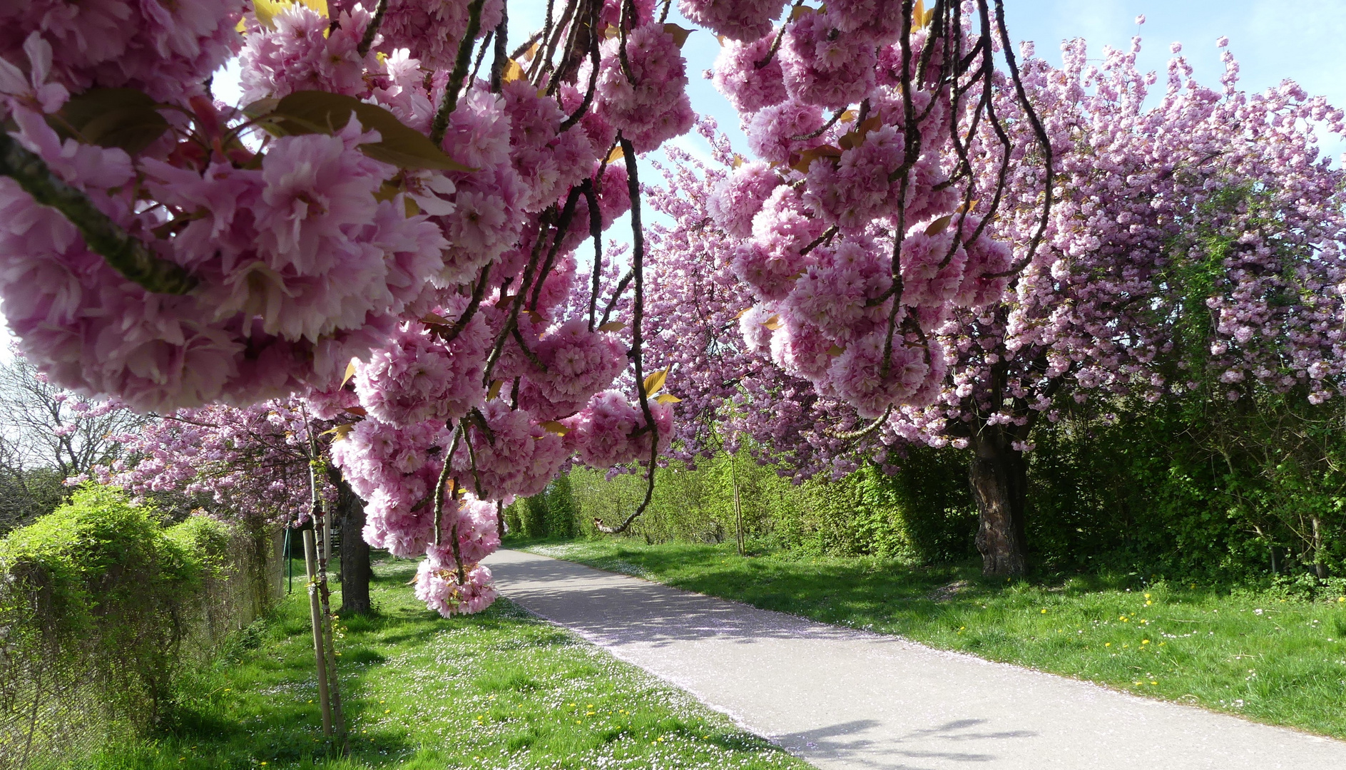 Picardie la Jolie