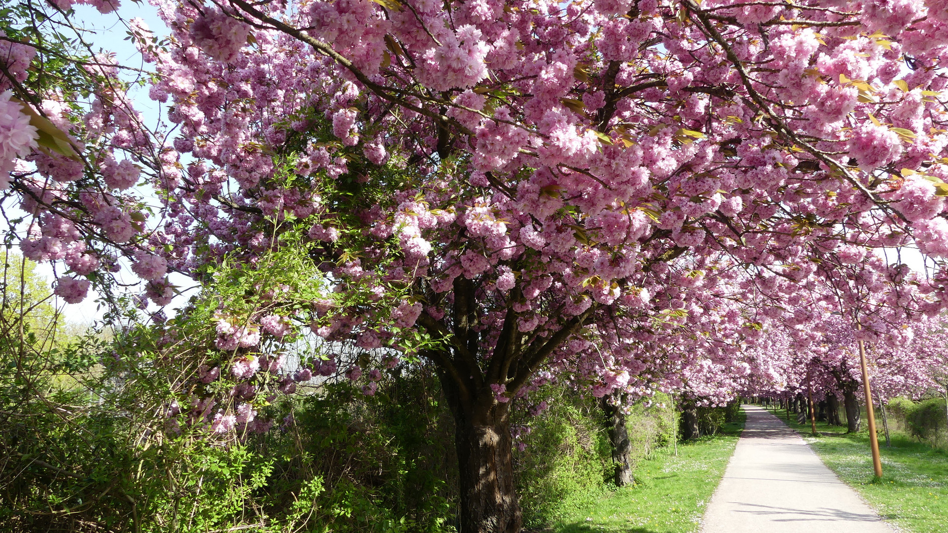 Picardie la Jolie