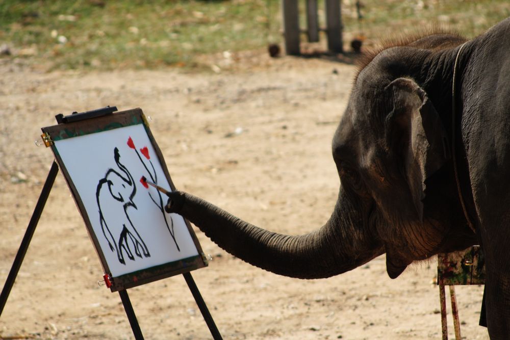Download Picasso Tiere Elefant PNG
