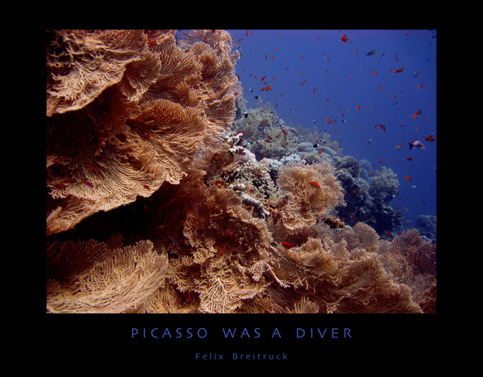 PICASSO WAS A DIVER