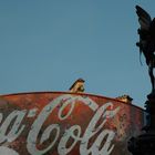 Piccadilly Circus