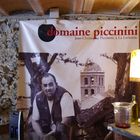 Piccinini