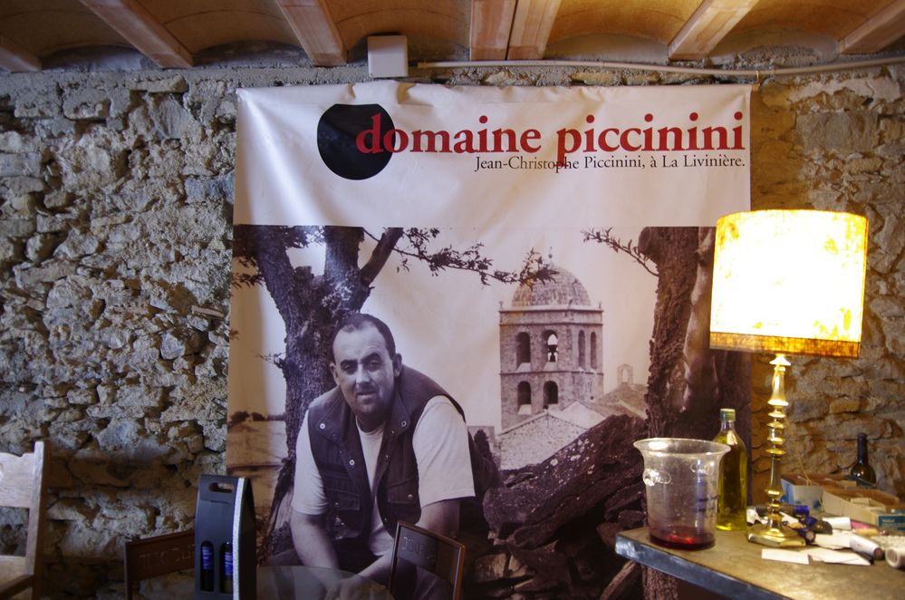 Piccinini