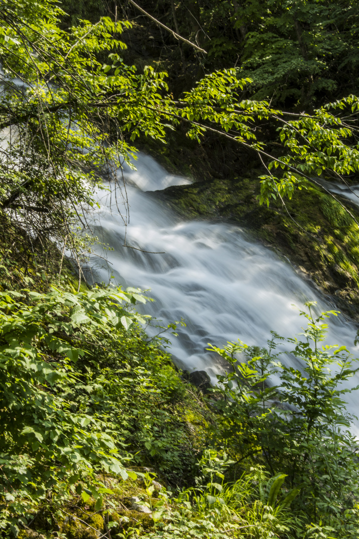 Piccola cascata