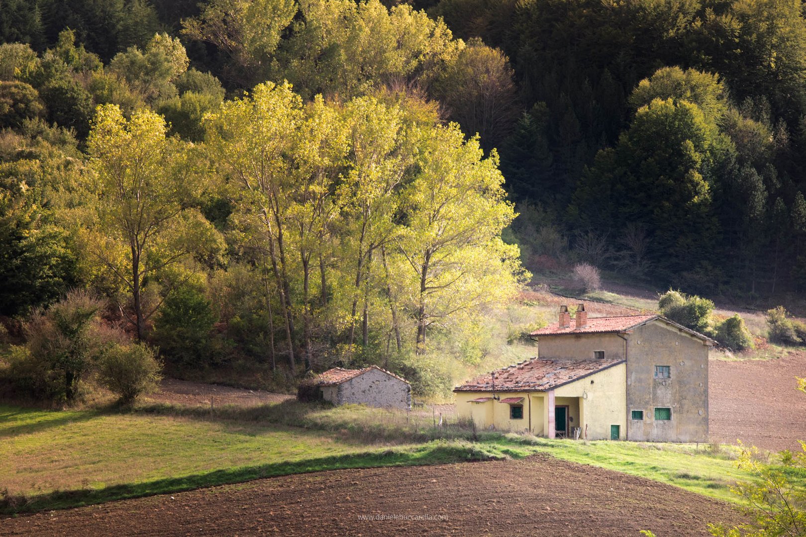 Piccola fattoria