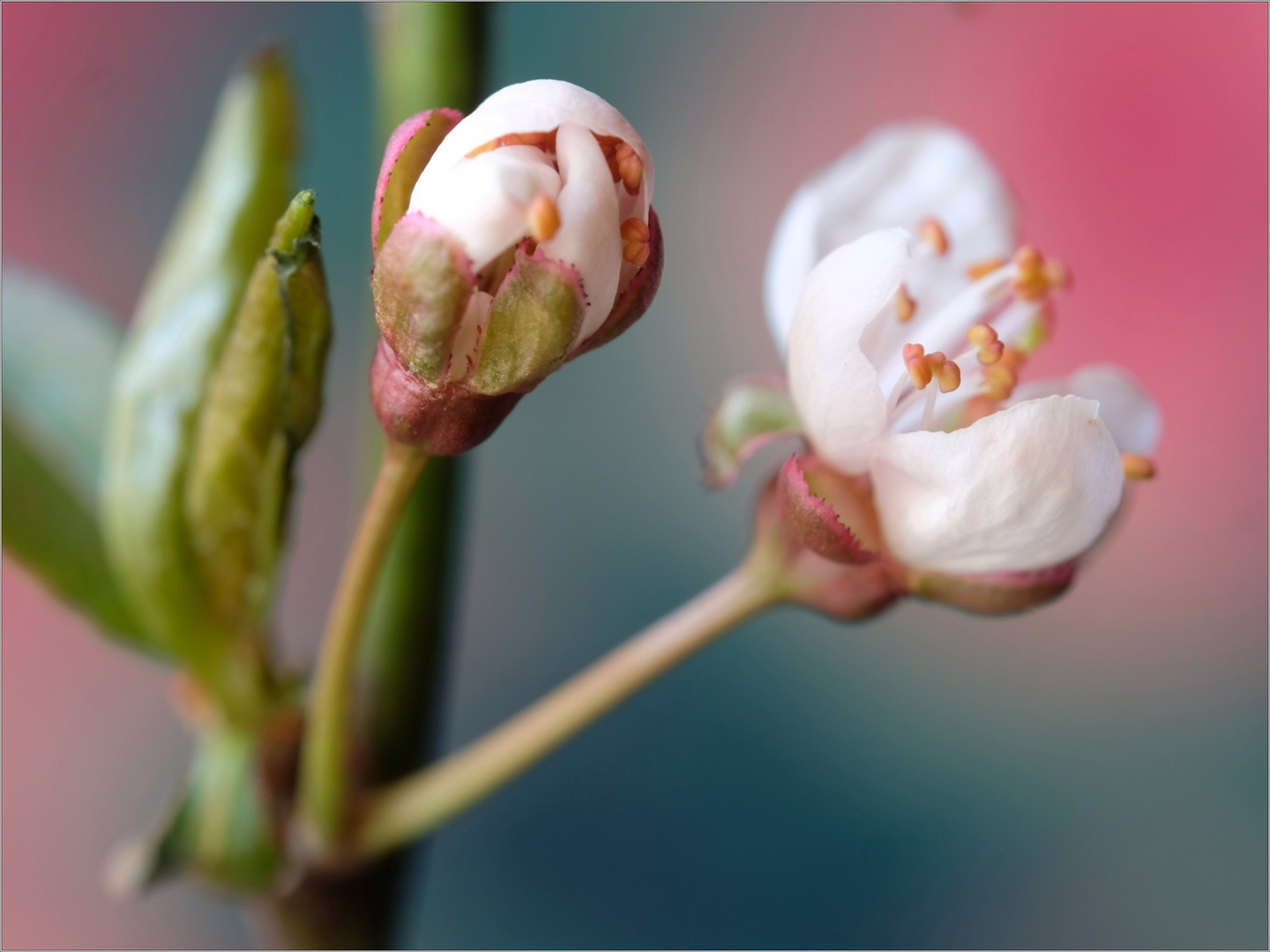 Piccoli dettagli.