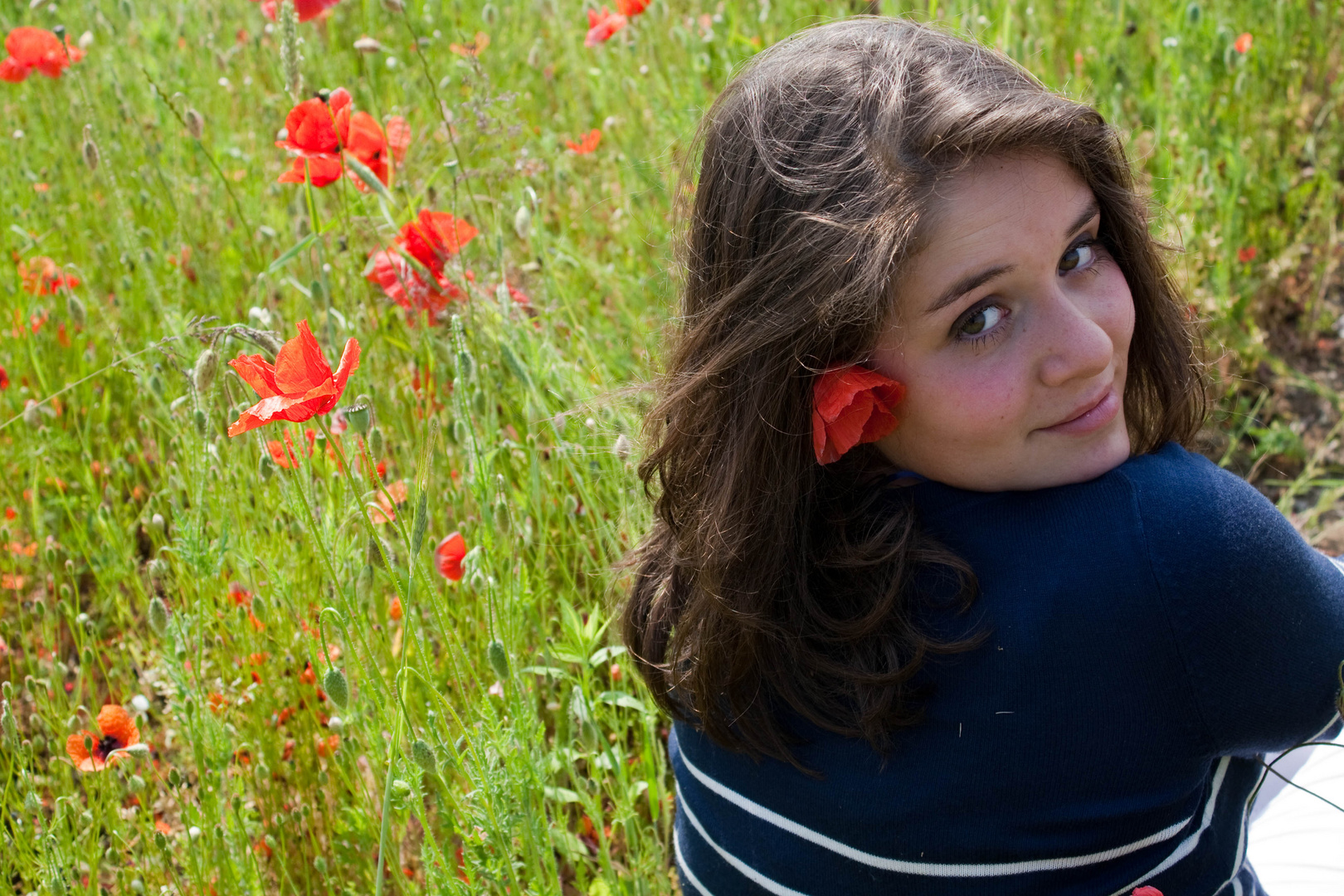 Piccoli e grandi fiori.