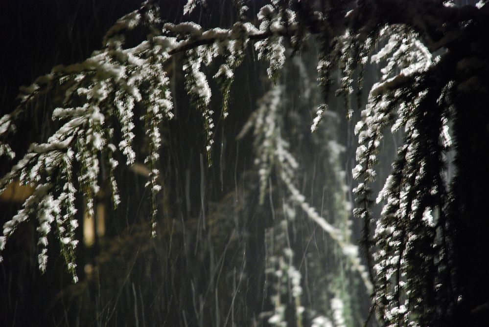 Piccoli filari di neve