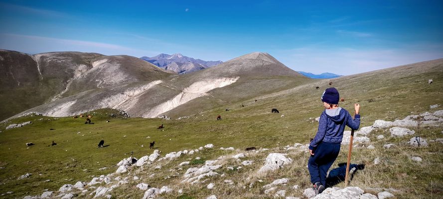 Piccoli pastori crescono...