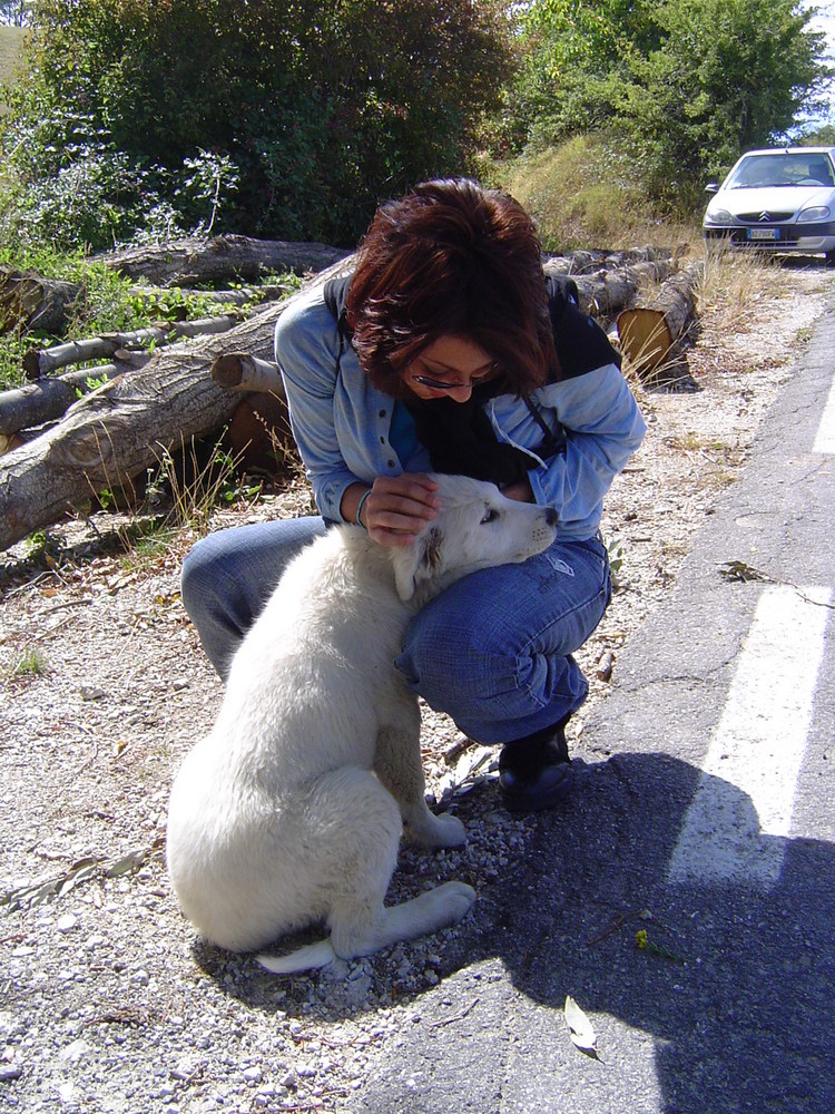 piccolo pastore in cerca di coccole