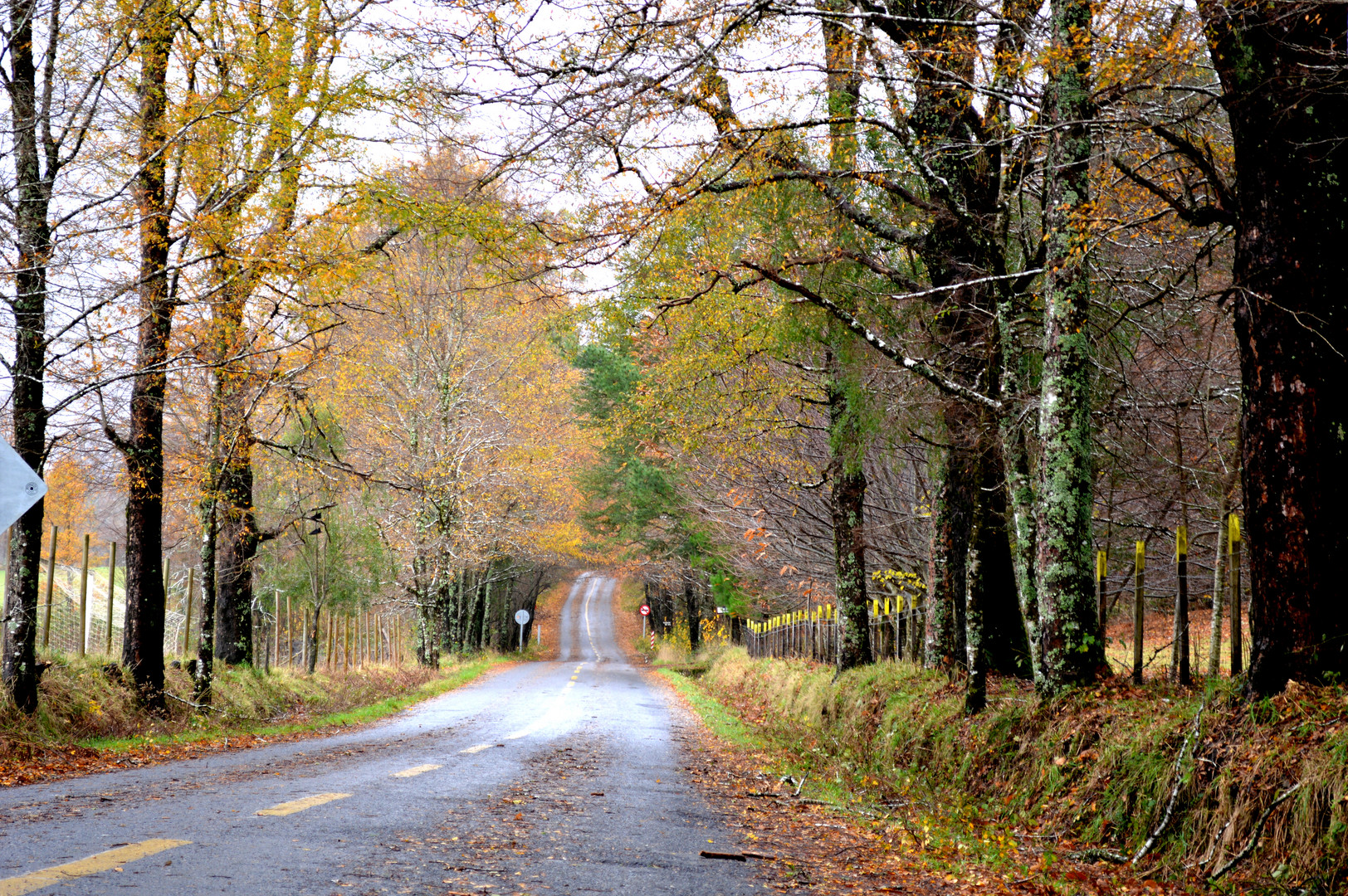 Pichare, camino a termas los Pozones