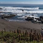 pichilemu impressionen #1