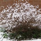 Pick a bale of cotton