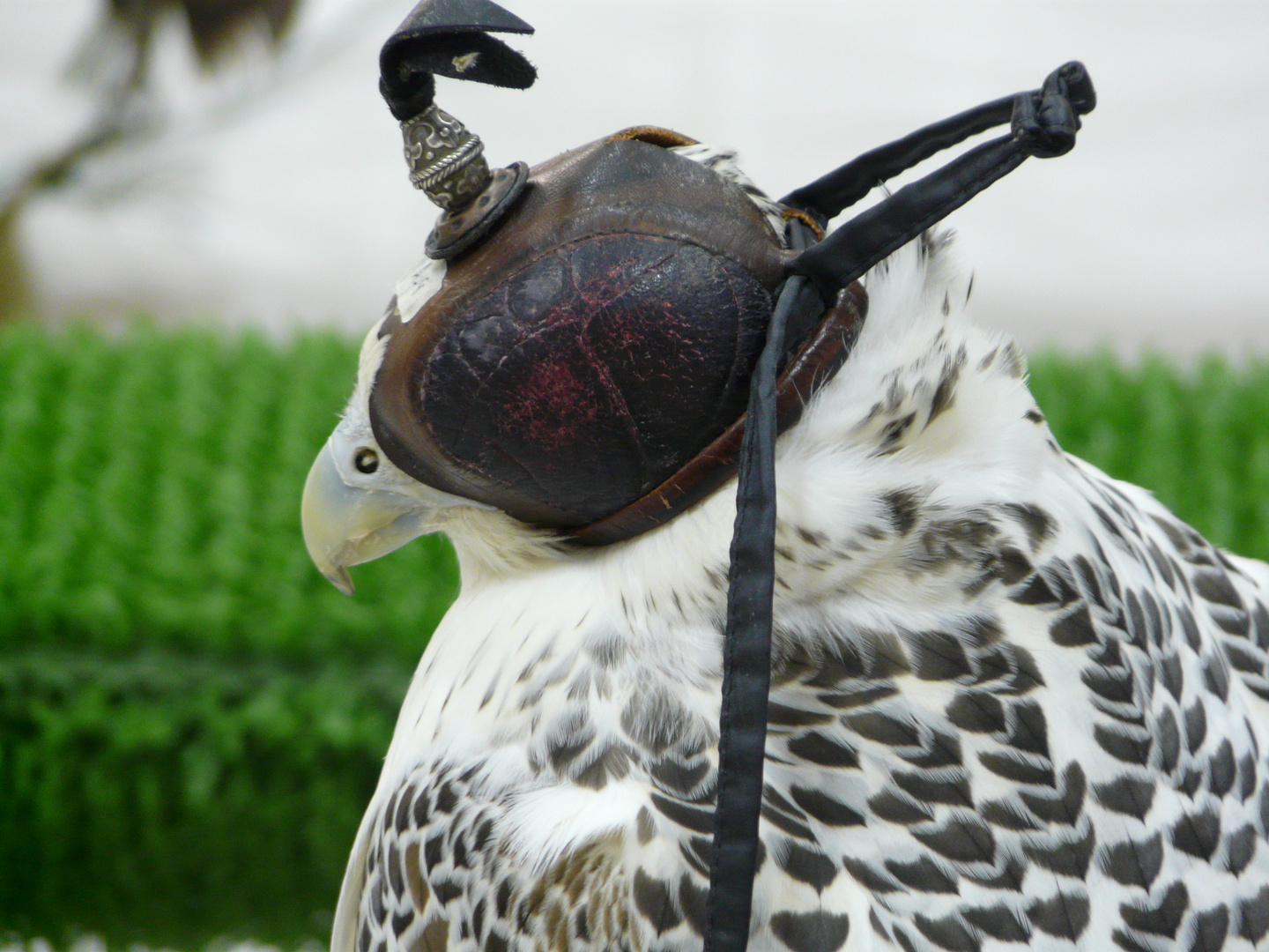 Pickelhaube