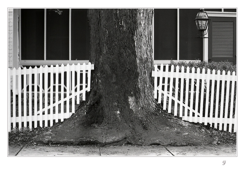 picket fences