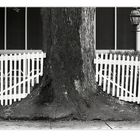 picket fences