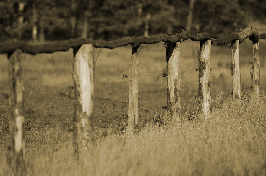 Picket Fences...