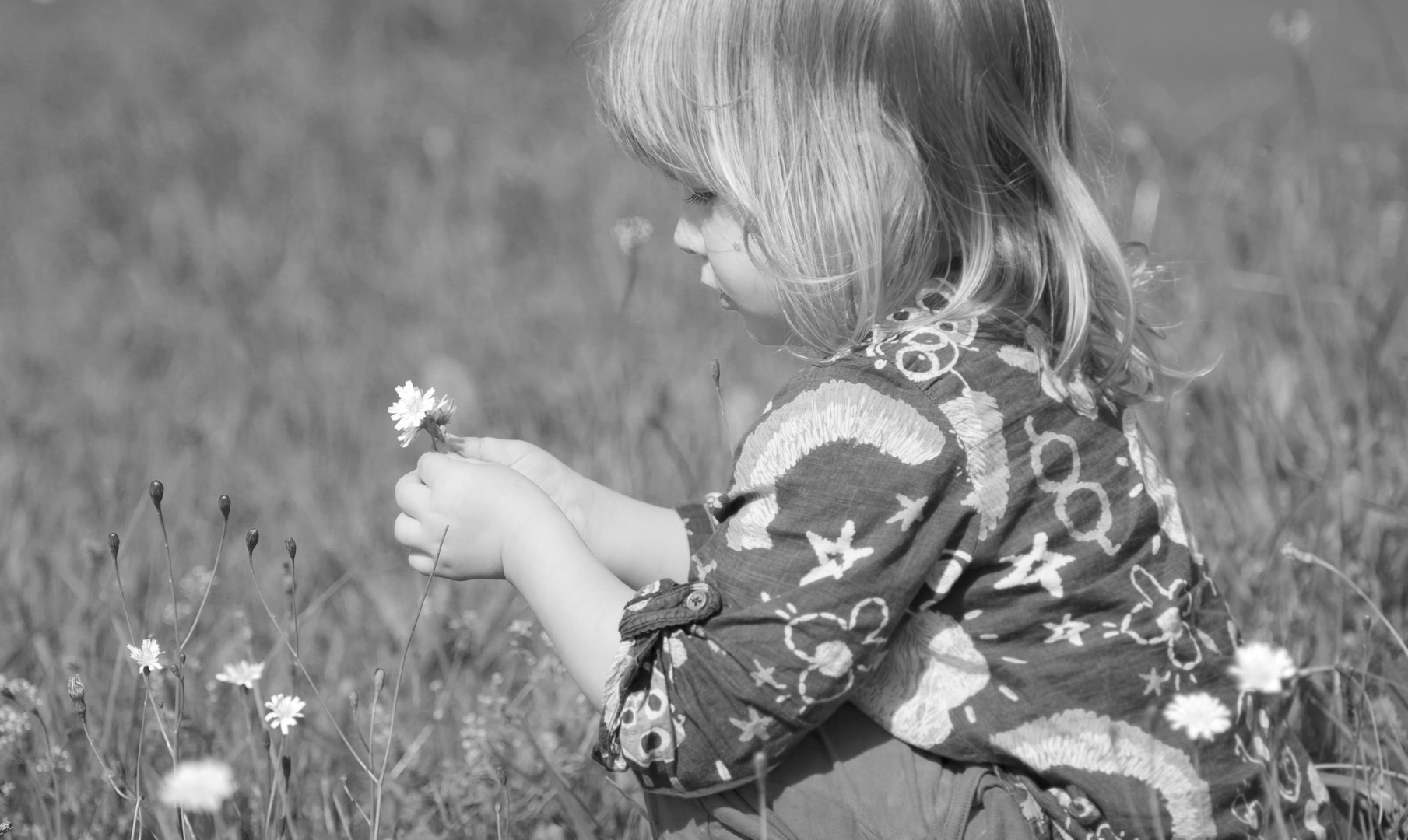 picking flowers...