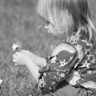 picking flowers...