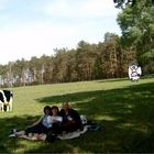 Picknick