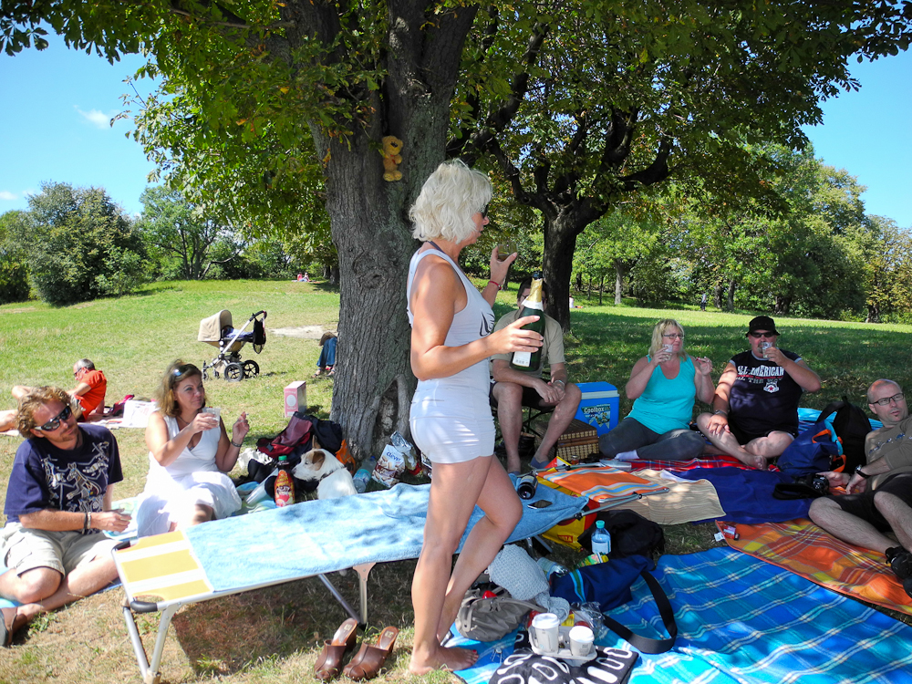 picknick 7