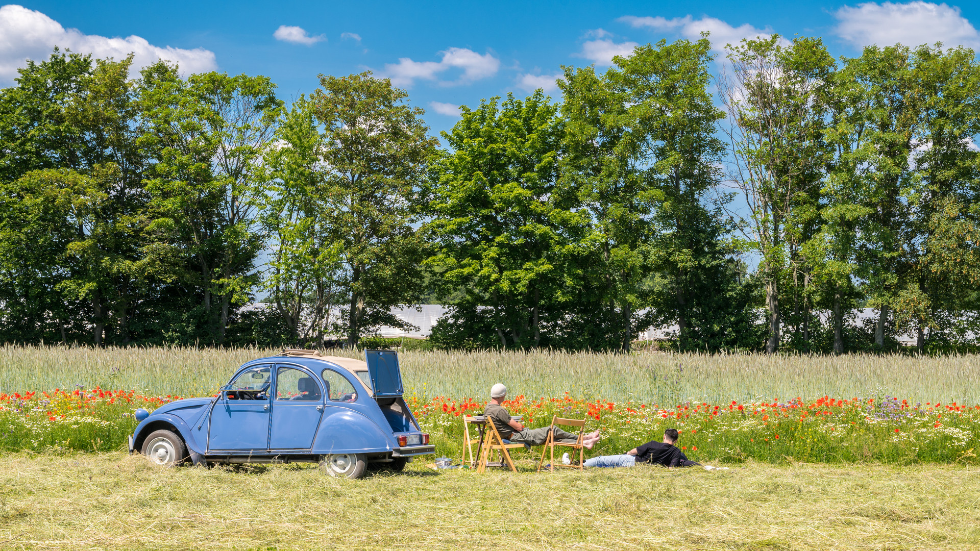 Picknick am Feldrand