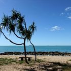 Picknick am Meer - 250m neben dem Highway