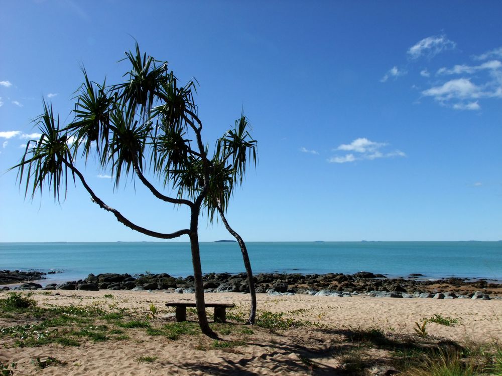 Picknick am Meer - 250m neben dem Highway