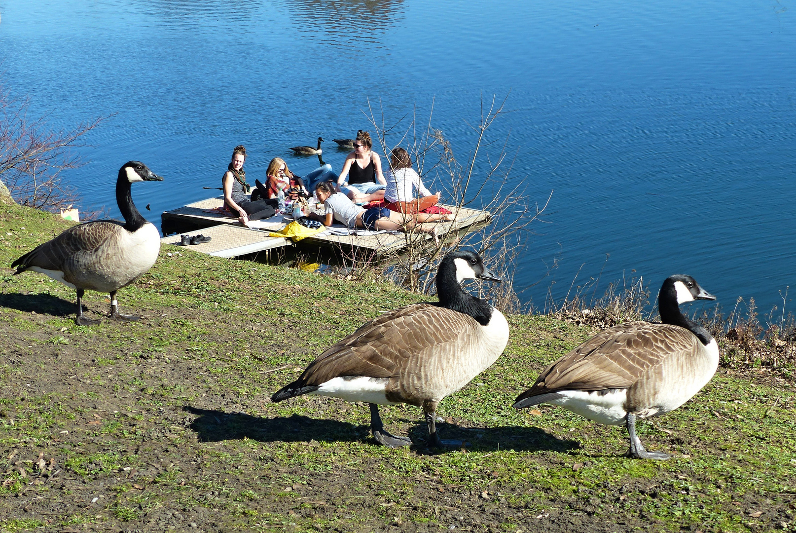 Picknick am See