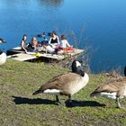 Picknick am See