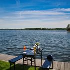 Picknick am Seegeberger See