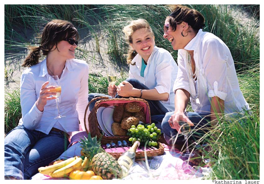 Picknick am Strand