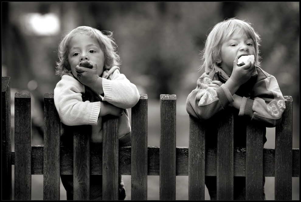 +++PICKNICK AM ZAUN+++